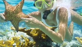 Snorkeling Phu Quoc Island is the best tour activity for Solo and Group Travelers